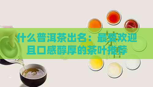 什么普洱茶出名：更受欢迎且口感醇厚的茶叶推荐