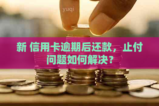 新 信用卡逾期后还款，止付问题如何解决？