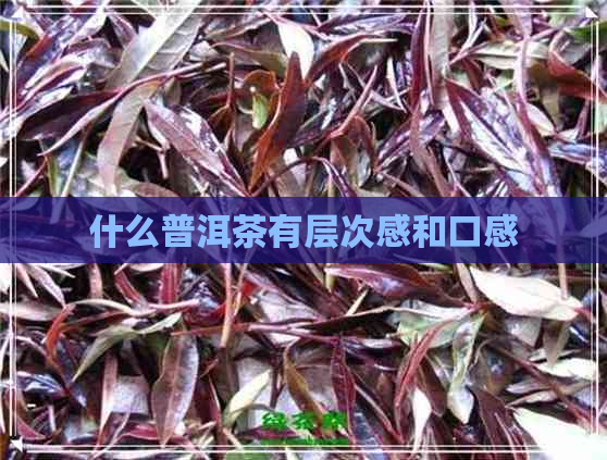 什么普洱茶有层次感和口感