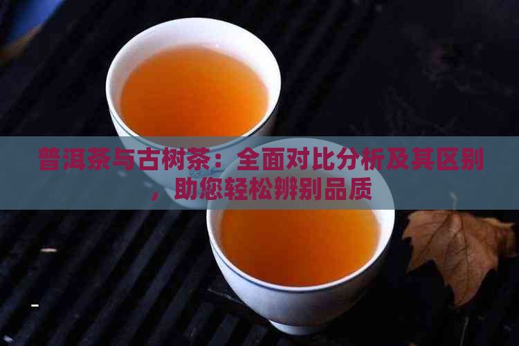 普洱茶与古树茶：全面对比分析及其区别，助您轻松辨别品质