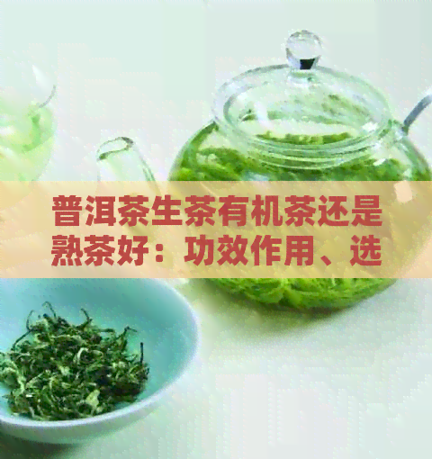 普洱茶生茶有机茶还是熟茶好：功效作用、选择与比较