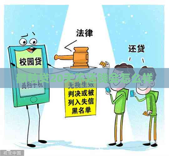 微粒贷20天不还钱会怎么样