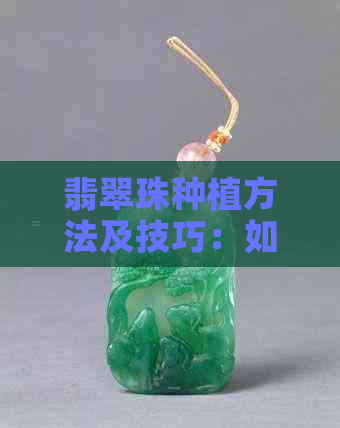 翡翠珠种植方法及技巧：如何培育出优质翡翠珠？