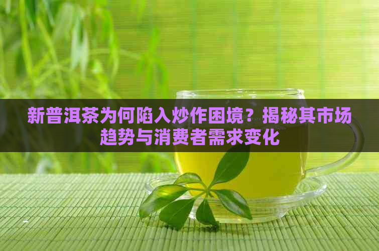 新普洱茶为何陷入炒作困境？揭秘其市场趋势与消费者需求变化