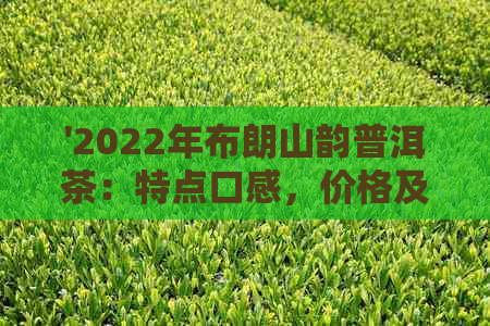 '2022年布朗山韵普洱茶：特点口感，价格及357克报价'