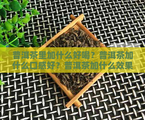 普洱茶里加什么好喝？普洱茶加什么口感好？普洱茶加什么效果好？