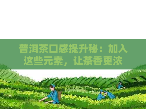 普洱茶口感提升秘：加入这些元素，让茶香更浓