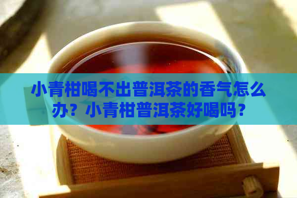 小青柑喝不出普洱茶的香气怎么办？小青柑普洱茶好喝吗？