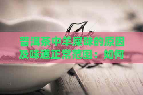 普洱茶中羊屎味的原因及味道正常范围：如何避免与辨别？