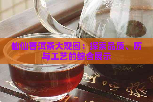 仙仙普洱茶大观园：探索品质、历与工艺的综合展示