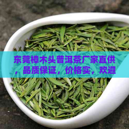 东莞樟木头普洱茶厂家直供，品质保证，价格实，欢迎选购！