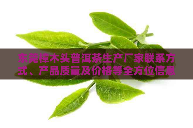 东莞樟木头普洱茶生产厂家联系方式、产品质量及价格等全方位信息解答