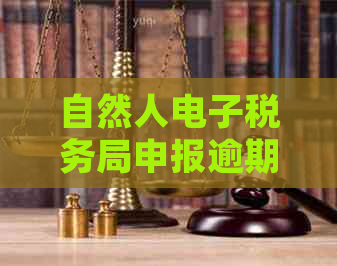 自然人电子税务局申报逾期几天怎么办:如何处理？