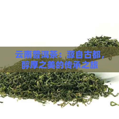 云南普洱茶：源自古都，醇厚之美的传承之旅