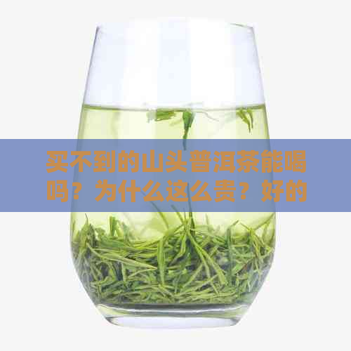 买不到的山头普洱茶能喝吗？为什么这么贵？好的山头普洱茶有哪几种？