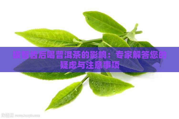 拔智齿后喝普洱茶的影响：专家解答您的疑虑与注意事项