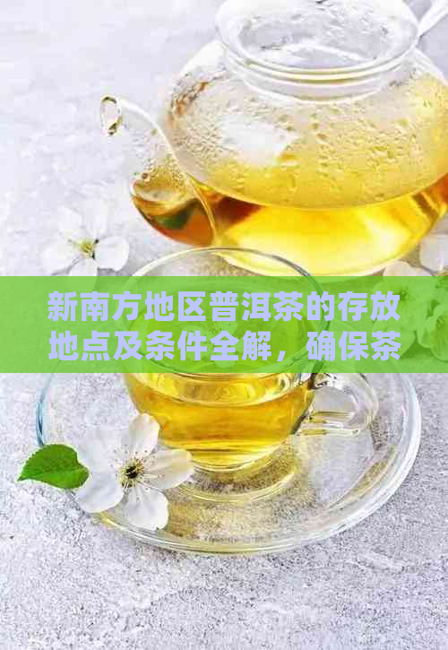 新南方地区普洱茶的存放地点及条件全解，确保茶叶品质和保存效果