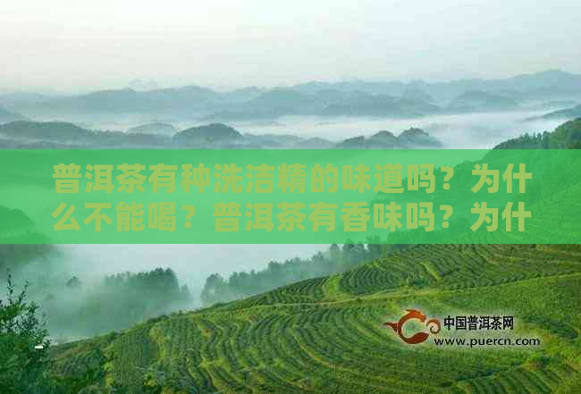 普洱茶有种洗洁精的味道吗？为什么不能喝？普洱茶有香味吗？为什么不苦？