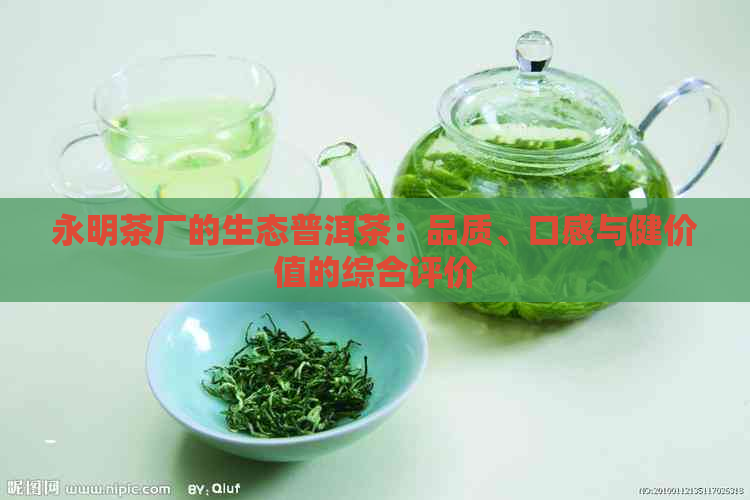 永明茶厂的生态普洱茶：品质、口感与健价值的综合评价