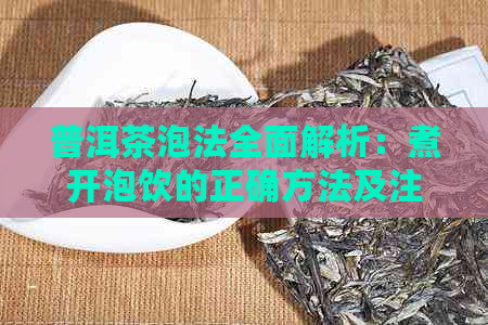 普洱茶泡法全面解析：煮开泡饮的正确方法及注意事项