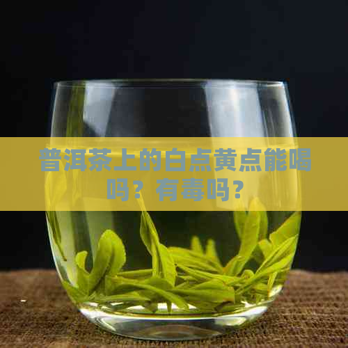 普洱茶上的白点黄点能喝吗？有吗？