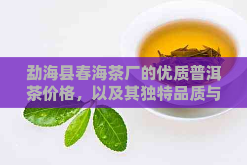 勐海县春海茶厂的优质普洱茶价格，以及其独特品质与制作工艺