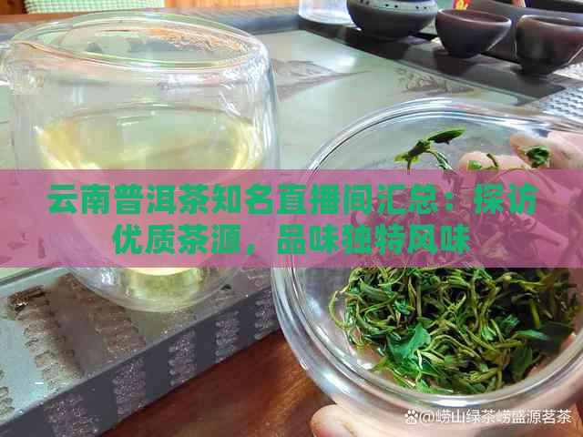 云南普洱茶知名直播间汇总：探访优质茶源，品味独特风味