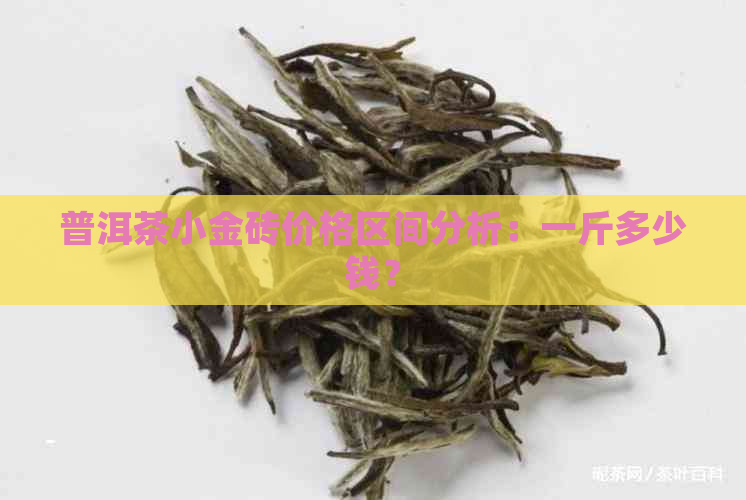 普洱茶小金砖价格区间分析：一斤多少钱？