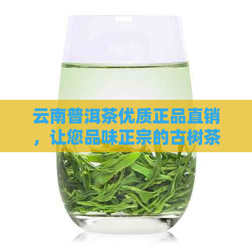 云南普洱茶优质正品直销，让您品味正宗的古树茶香！