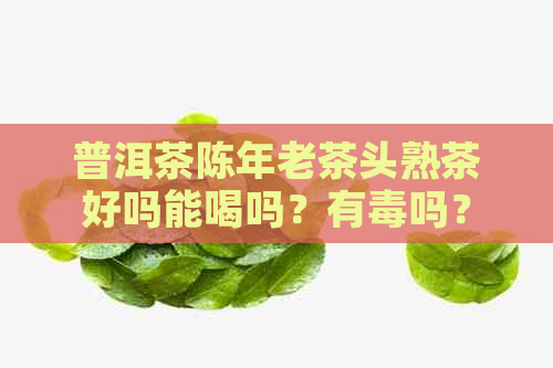 普洱茶陈年老茶头熟茶好吗能喝吗？有吗？