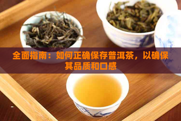 全面指南：如何正确保存普洱茶，以确保其品质和口感