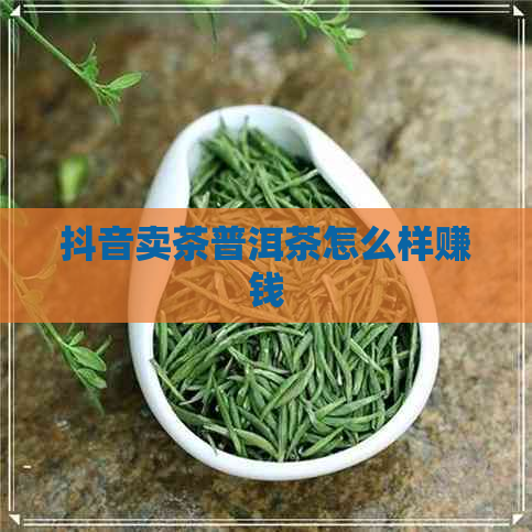 抖音卖茶普洱茶怎么样赚钱