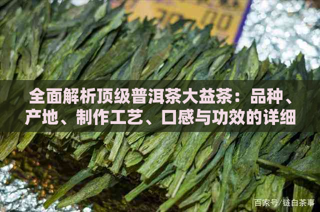 全面解析顶级普洱茶大益茶：品种、产地、制作工艺、口感与功效的详细解答