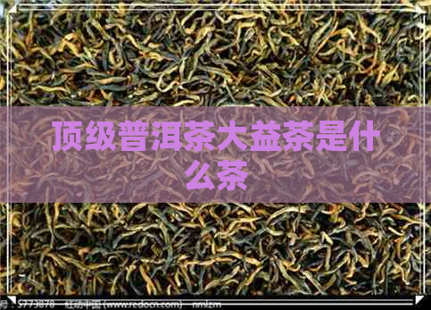 顶级普洱茶大益茶是什么茶