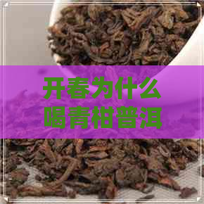 开春为什么喝青柑普洱茶呢