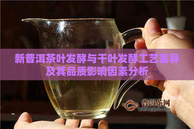 新普洱茶叶发酵与干叶发酵工艺差异及其品质影响因素分析