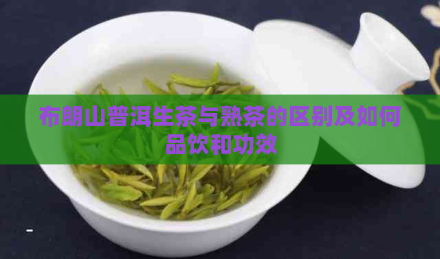 布朗山普洱生茶与熟茶的区别及如何品饮和功效