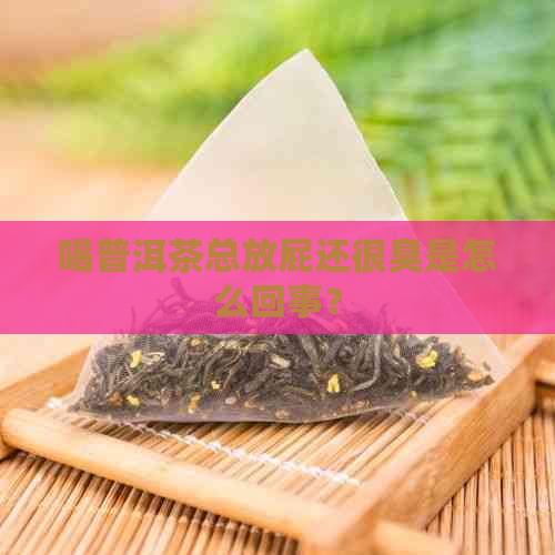 喝普洱茶总放屁还很臭是怎么回事？