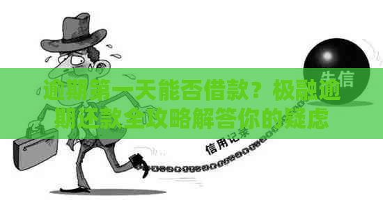 逾期之一天能否借款？极融逾期还款全攻略解答你的疑虑