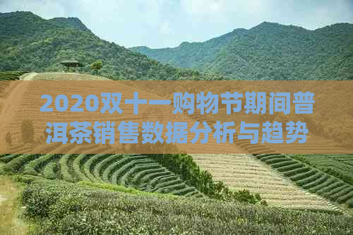 2020双十一购物节期间普洱茶销售数据分析与趋势展望