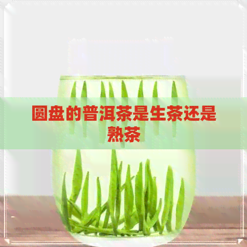 圆盘的普洱茶是生茶还是熟茶