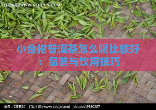 小金柑普洱茶怎么喝比较好：品鉴与饮用技巧