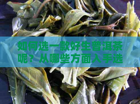 如何选一款好生普洱茶呢？从哪些方面入手选择，推荐哪些？