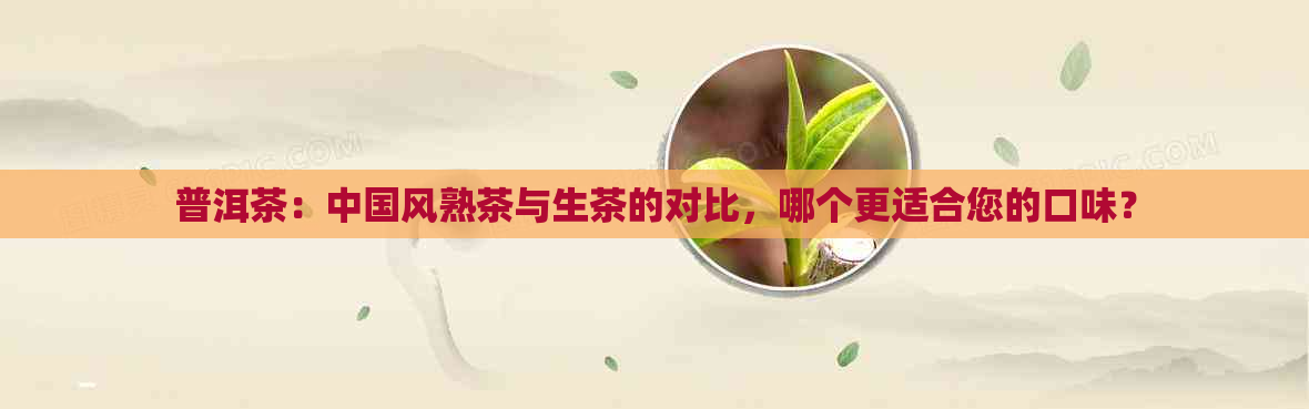 普洱茶：中国风熟茶与生茶的对比，哪个更适合您的口味？