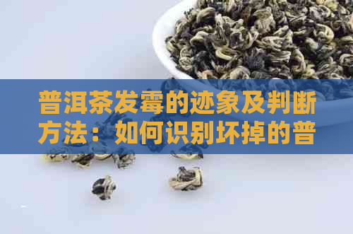 普洱茶发霉的迹象及判断方法：如何识别坏掉的普洱茶？