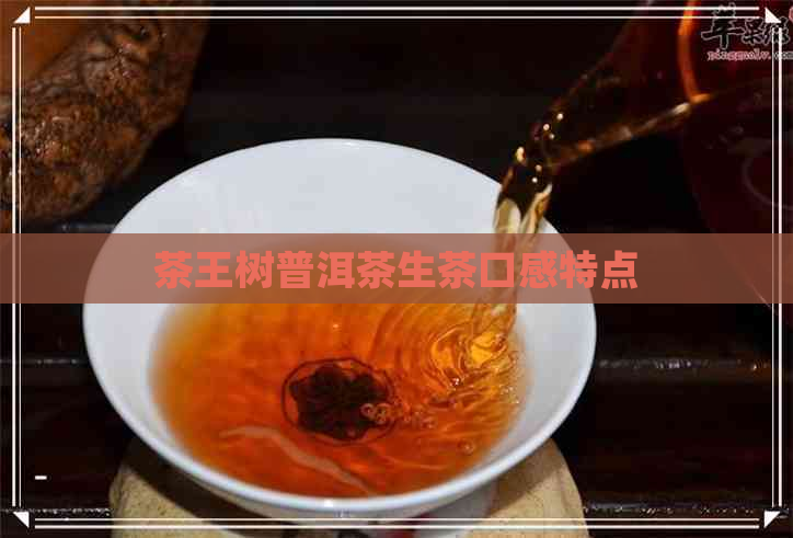 茶王树普洱茶生茶口感特点