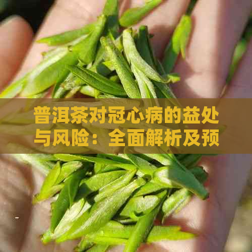 普洱茶对冠心病的益处与风险：全面解析及预防建议