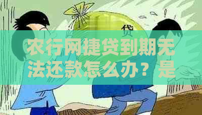 农行网捷贷到期无法还款怎么办？是否可以申请分期付款？