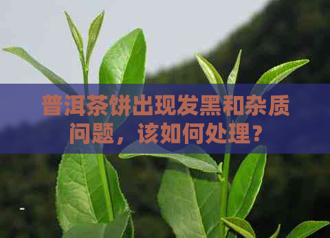 普洱茶饼出现发黑和杂质问题，该如何处理？