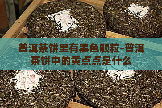 普洱茶饼里有黑色颗粒-普洱茶饼中的黄点点是什么